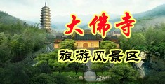 啊啊啊鸡巴好大插进去好爽视频app中国浙江-新昌大佛寺旅游风景区